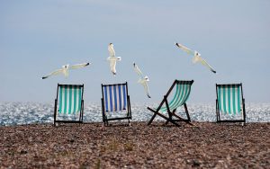 summer, beach, seagulls