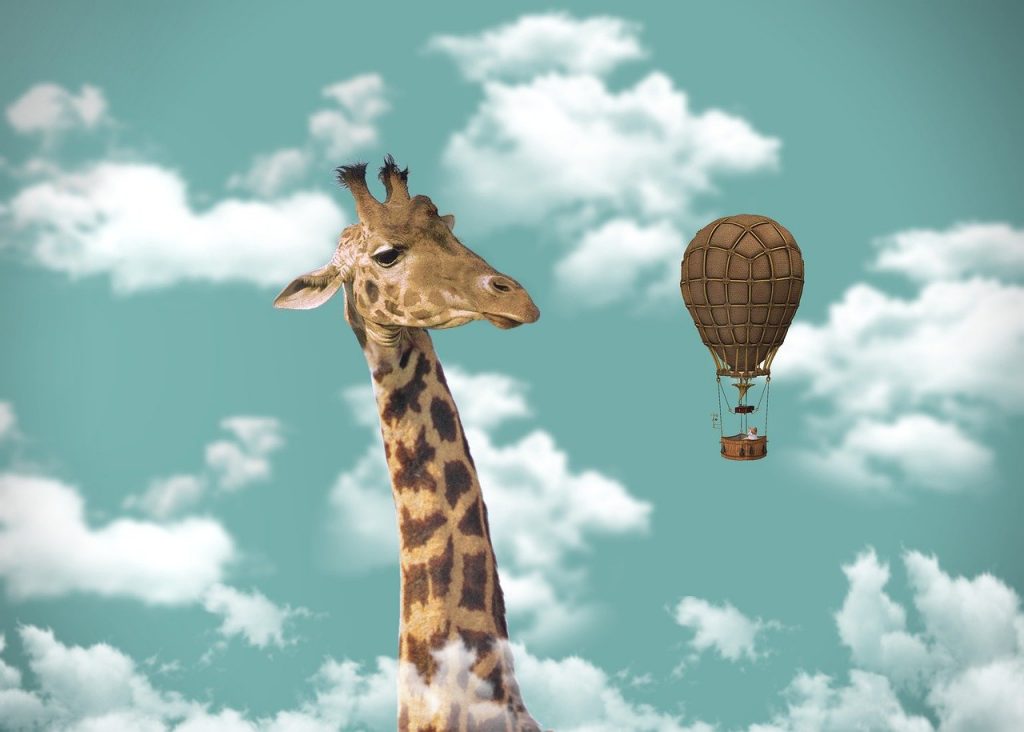 giraffe, hot air balloon, imagination