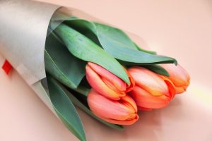 tulips, flowers, bunch