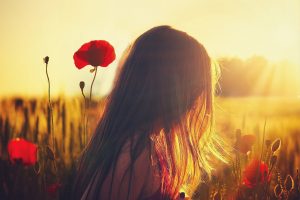 woman, poppies, sunlight