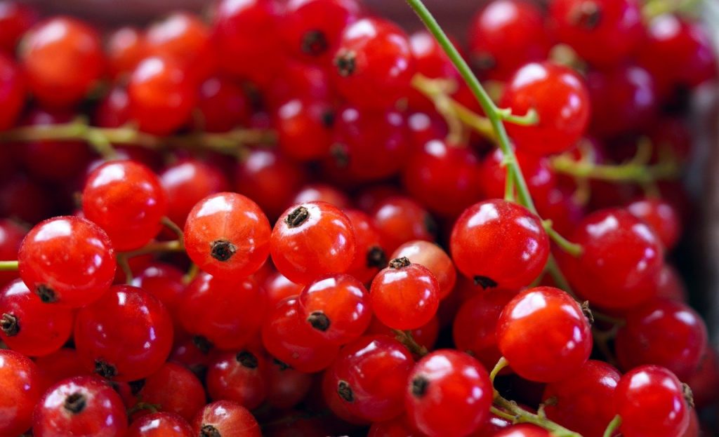 currants, berries, fruits