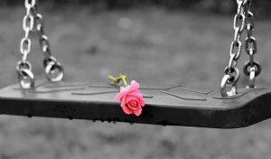rose, flower, swing