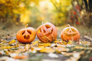 pumpkin, halloween, tradition
