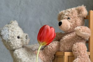 valentine's day, teddy bear, valentine