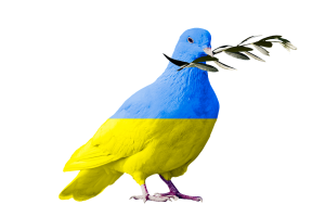 dove of peace, flag, symbol