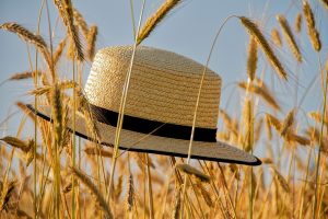 cap, straw hat, summer